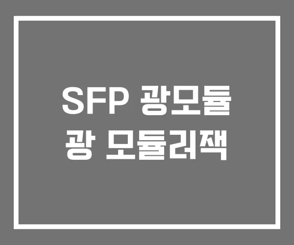 SFP 광모듈 광 모듈러잭