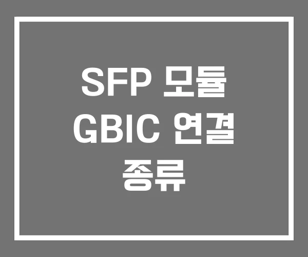 SFP 모듈 GBIC 연결 종류 SFP 모듈 GBIC 연결 종류