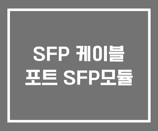SFP 케이블 포트 SFP모듈 SFP 케이블 포트 SFP모듈