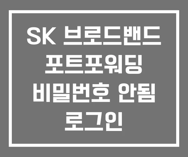 SK 브로드밴드 포트포워딩 비밀번호 안됨 로그인