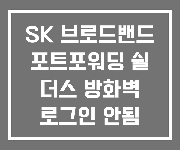 SK 브로드밴드 포트포워딩 쉴 더스 방화벽 로그인 안됨
