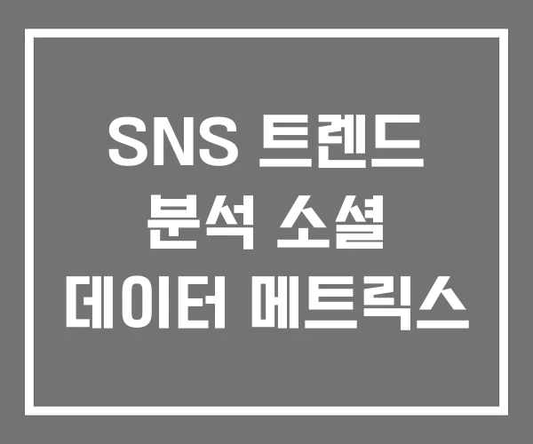 SNS 트렌드 분석 소셜 데이터 메트릭스