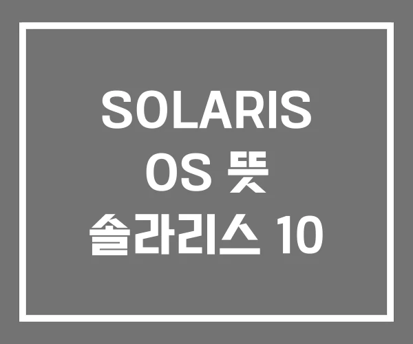 SOLARIS OS 뜻 솔라리스 10
