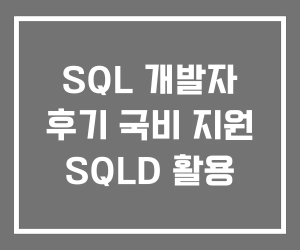 SQL 개발자 후기 국비 지원 SQLD 활용