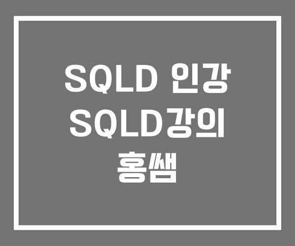 SQLD 인강 SQLD강의 홍쌤