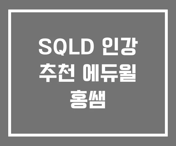 SQLD 인강 추천 에듀윌 홍쌤