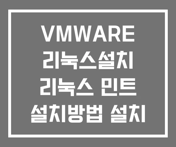 VMWARE 리눅스설치 리눅스 민트 설치방법 설치