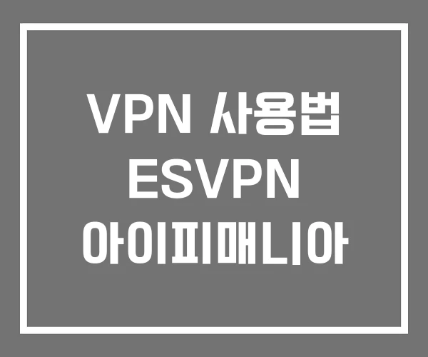 VPN 사용법 ESVPN 아이피매니아