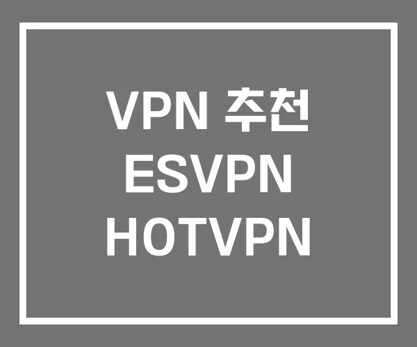 VPN 추천 ESVPN HOTVPN