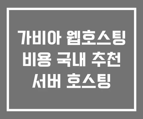 가비아 웹호스팅 비용 국내 추천 서버 호스팅 가비아 웹호스팅 비용 국내 추천 서버 호스팅