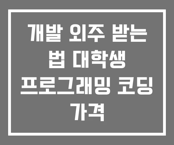 개발 외주 받는 법 대학생 프로그래밍 코딩 가격 개발 외주 받는 법 대학생 프로그래밍 코딩 가격