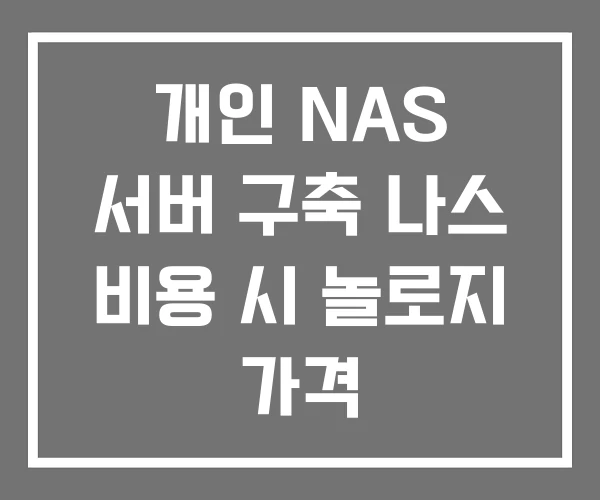 개인 NAS 서버 구축 나스 비용 시 놀로지 가격