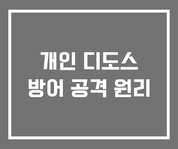 개인 디도스 방어 공격 원리 개인 디도스 방어 공격 원리