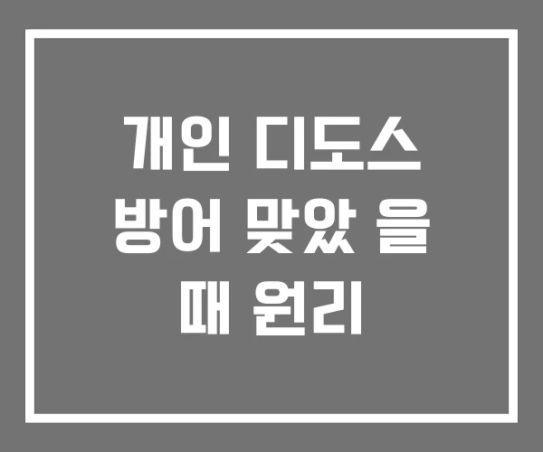 개인 디도스 방어 맞았 을 때 원리