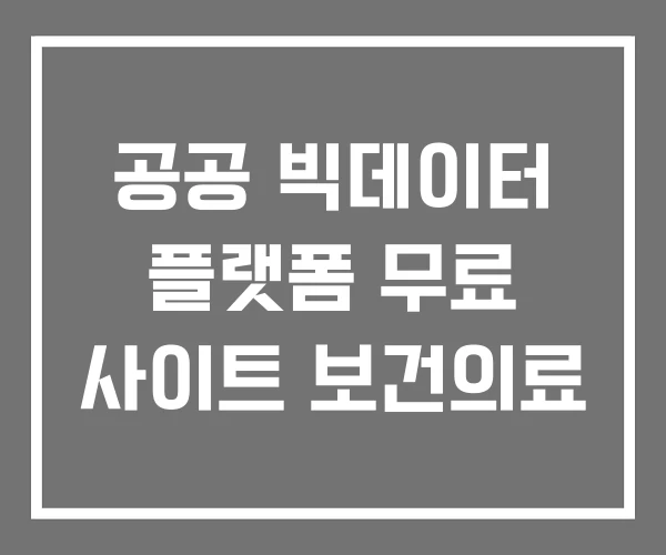 공공 빅데이터 플랫폼 무료 사이트 보건의료
