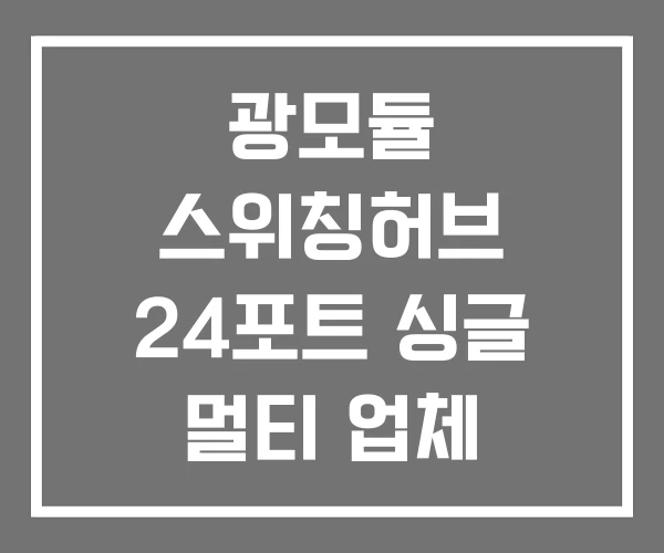 광모듈 스위칭허브 24포트 싱글 멀티 업체 광모듈 스위칭허브 24포트 싱글 멀티 업체