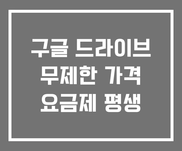 구글 드라이브 무제한 가격 요금제 평생