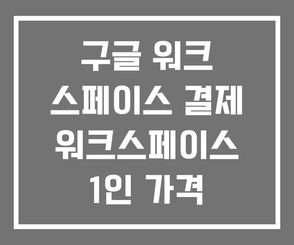 구글 워크 스페이스 결제 워크스페이스 1인 가격 구글 워크 스페이스 결제 워크스페이스 1인 가격