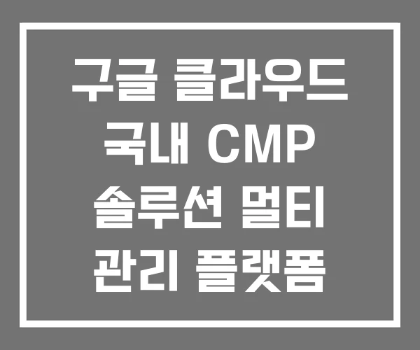 구글 클라우드 국내 CMP 솔루션 멀티 관리 플랫폼 구글 클라우드 국내 CMP 솔루션 멀티 관리 플랫폼