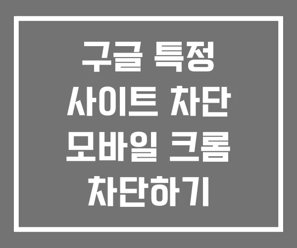 구글 특정 사이트 차단 모바일 크롬 차단하기 구글 특정 사이트 차단 모바일 크롬 차단하기