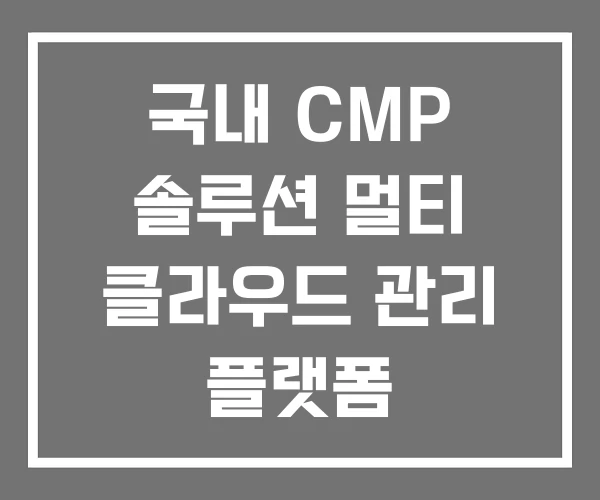 국내 CMP 솔루션 멀티 클라우드 관리 플랫폼 국내 CMP 솔루션 멀티 클라우드 관리 플랫폼