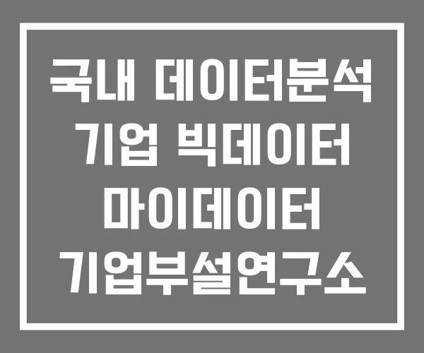 국내 데이터분석 기업 빅데이터 마이데이터 기업부설연구소 국내 데이터분석 기업 빅데이터 마이데이터 기업부설연구소
