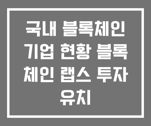 국내 블록체인 기업 현황 블록 체인 랩스 투자 유치