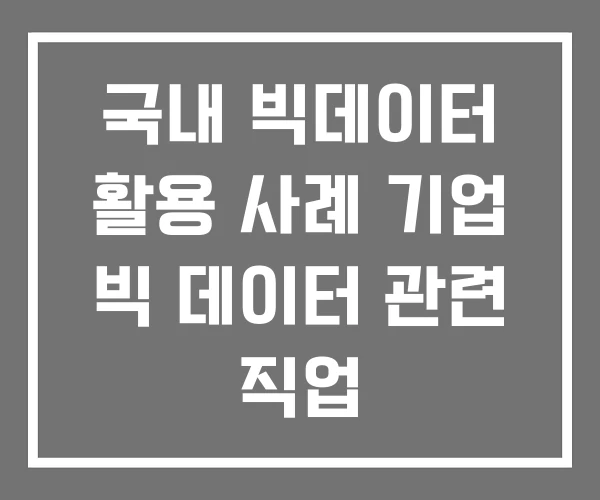 국내 빅데이터 활용 사례 기업 빅 데이터 관련 직업