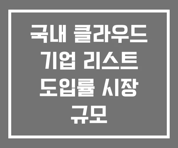 국내 클라우드 기업 리스트 도입률 시장 규모