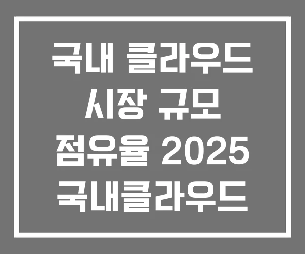 국내 클라우드 시장 규모 점유율 2025 국내클라우드 국내 클라우드 시장 규모 점유율 2025 국내클라우드