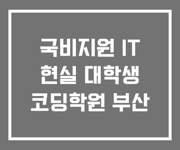 국비지원 IT 현실 대학생 코딩학원 부산 국비지원 IT 현실 대학생 코딩학원 부산