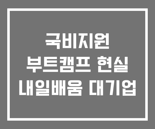 국비지원 부트캠프 현실 내일배움 대기업