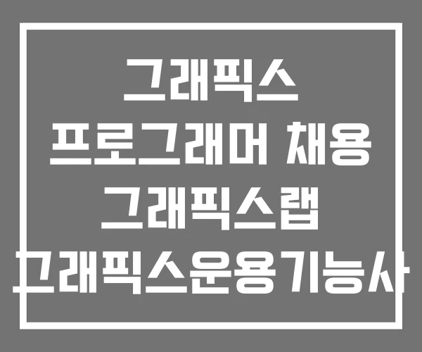그래픽스 프로그래머 채용 그래픽스랩 그래픽스운용기능사