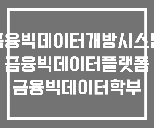 금융빅데이터개방시스템 금융빅데이터플랫폼 금융빅데이터학부