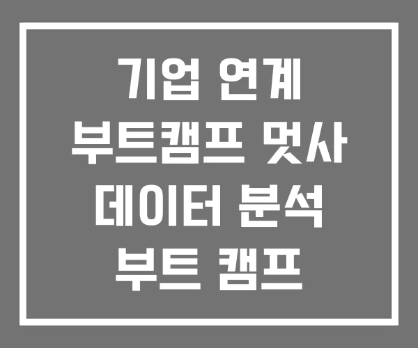 기업 연계 부트캠프 멋사 데이터 분석 부트 캠프 백엔드