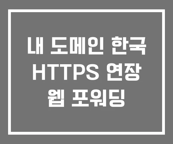 내 도메인 한국 HTTPS 연장 웹 포워딩