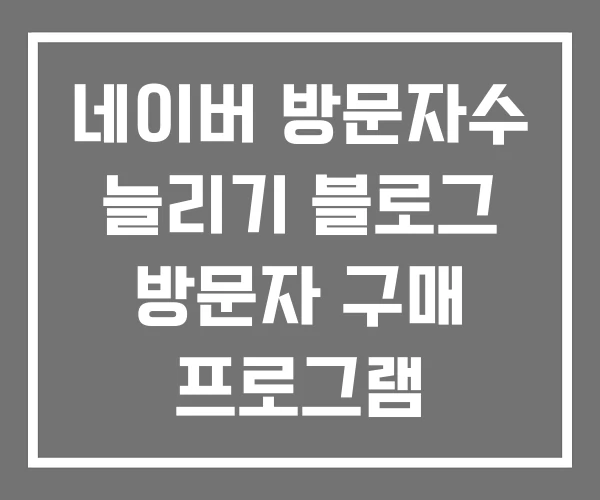 네이버 방문자수 늘리기 블로그 방문자 구매 프로그램