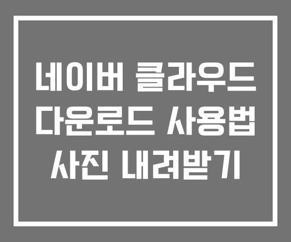 네이버 클라우드 다운로드 사용법 사진 내려받기 네이버 클라우드 다운로드 사용법 사진 내려받기