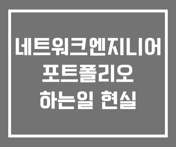 네트워크엔지니어 포트폴리오 하는일 현실