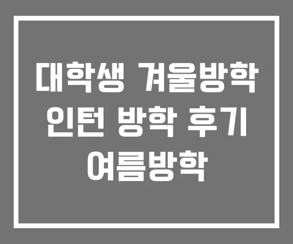 대학생 겨울방학 인턴 방학 후기 여름방학