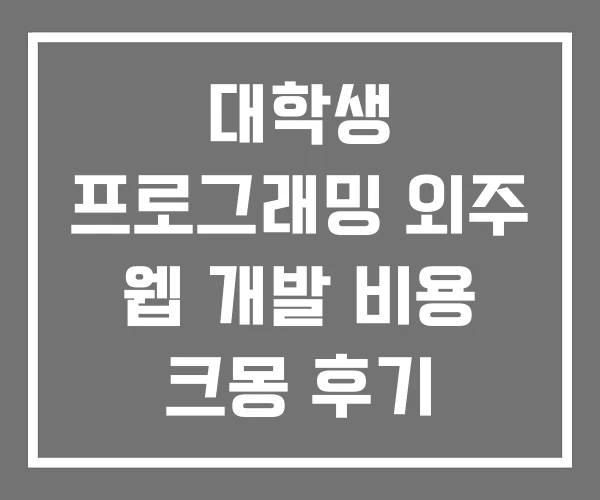 대학생 프로그래밍 외주 웹 개발 비용 크몽 후기 대학생 프로그래밍 외주 웹 개발 비용 크몽 후기