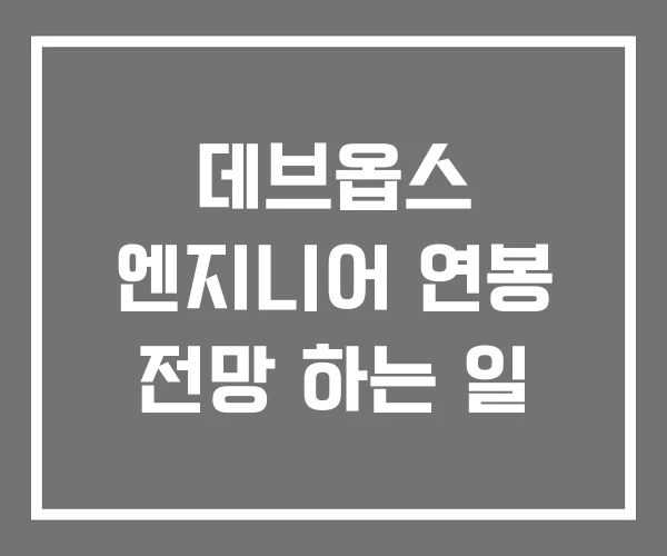 데브옵스 엔지니어 연봉 전망 하는 일
