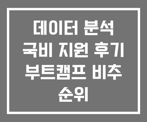 데이터 분석 국비 지원 후기 부트캠프 비추 순위 데이터 분석 국비 지원 후기 부트캠프 비추 순위