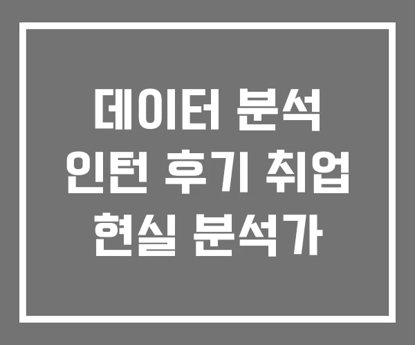 데이터 분석 인턴 후기 취업 현실 분석가 데이터 분석 인턴 후기 취업 현실 분석가