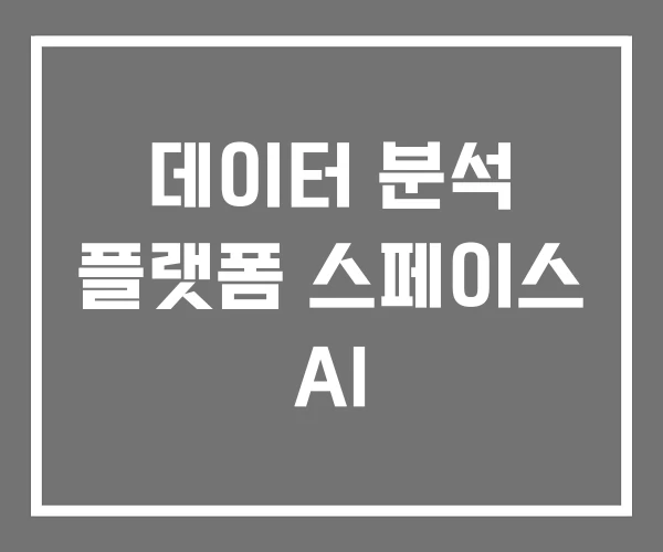 데이터 분석 플랫폼 스페이스 AI 데이터 분석 플랫폼 스페이스 AI