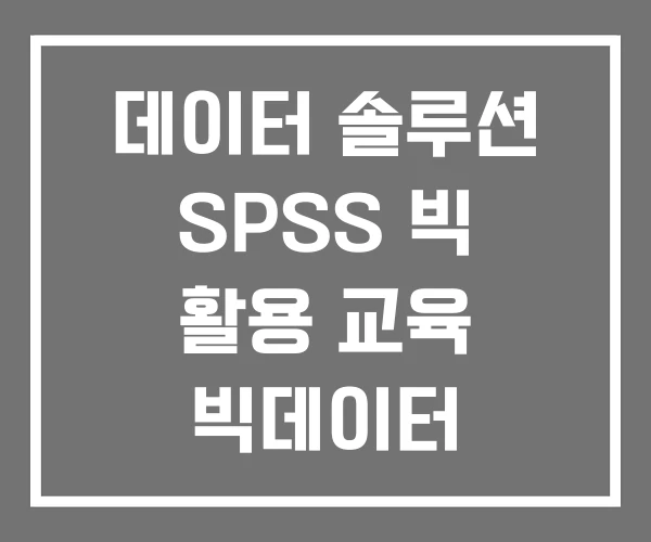 데이터 솔루션 SPSS 빅 활용 교육 빅데이터