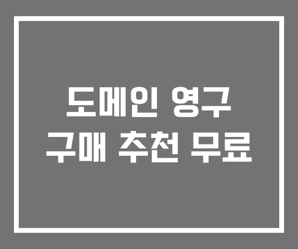 도메인 영구 구매 추천 무료