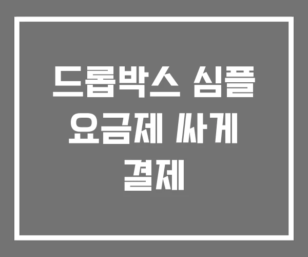 드롭박스 심플 요금제 싸게 결제 드롭박스 심플 요금제 싸게 결제