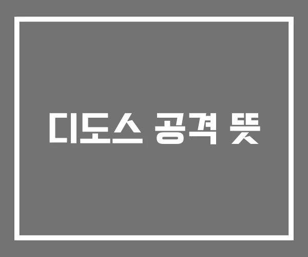 디도스 공격 뜻 디도스 공격 뜻