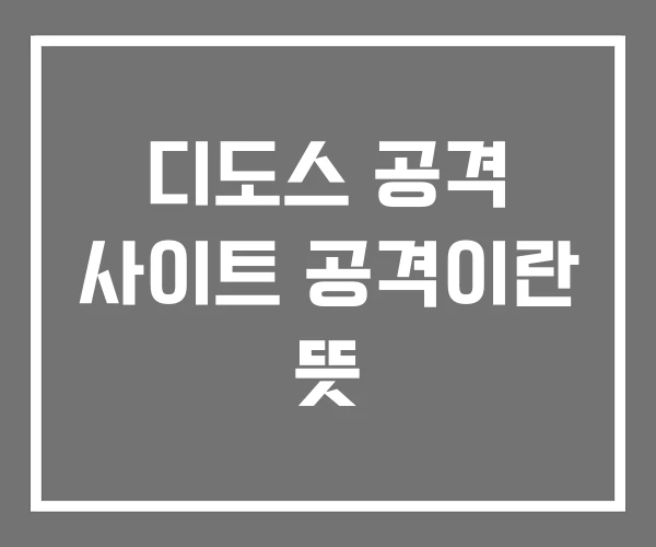 디도스 공격 사이트 공격이란 뜻